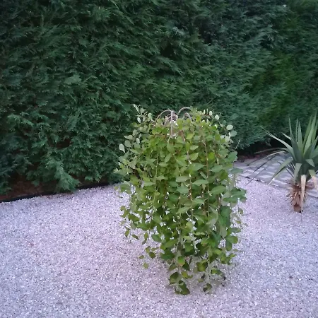 Homestay Aniko Zalakaros