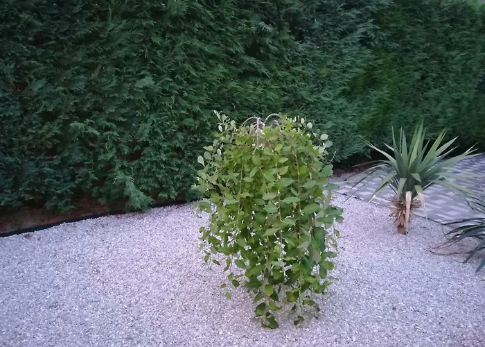 Pansiyon Aniko Zalakaros